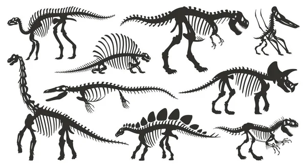 Dibujos Animados Esqueleto Dino Siluetas Huesos Fósiles Dinosaurios Antiguos Tiranosaurio — Vector de stock