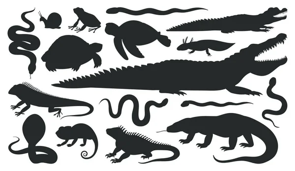 Caricature Reptiles Amphibiens Silhouettes Animaux Sauvages Grenouille Crocodile Lézard Serpent — Image vectorielle