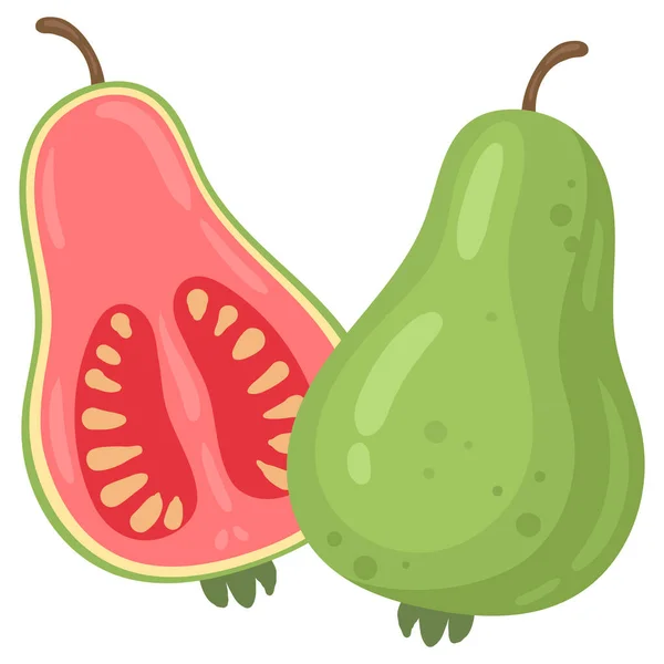 Fruta Verde Goiaba Exótica Desenhos Animados Verão Tropical Psidium Frutas — Vetor de Stock