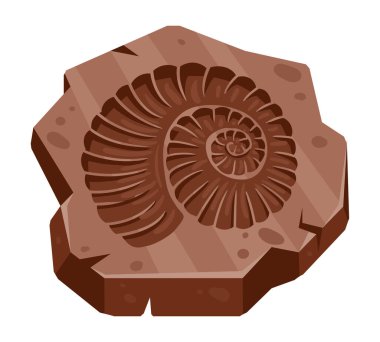 Karikatür arkeolojisi amonit fosili, antik deniz kabuğu. Paleontoloji okyanus hayvan baskısı, arkeoloji kazı ammonit artefaktı düz vektör çizimi beyaz arka planda
