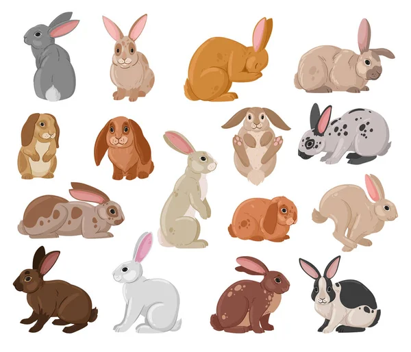 Conejos Lindos Dibujos Animados Conejito Divertido Vida Silvestre Animales Liebre — Vector de stock