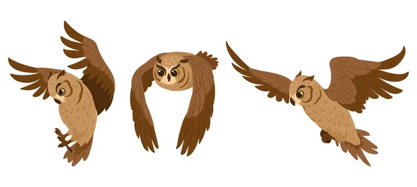 Cartoon owl birds. Flying birds, woods wildlife brown feathered owls, forest wild predator birds flat vector illustration on white background