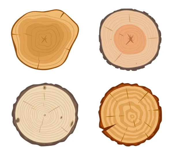 Cartoon Tree Trunk Cuts Pine Birch Oak Slices Lumber Wooden — Vetor de Stock