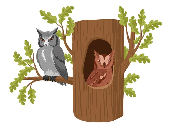 Owls Tree Hollow Cartoon Wild Forest Owl Birds Sitting Woods — Archivo Imágenes Vectoriales