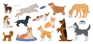 Çizgi filmdeki safkan köpekler. Mutlu aktif köpek yavruları, uyuyan, oynayan, evcil köpekleri yiyen, Corgi ve iri yapılı şirin hayvanlar düz vektör çizim seti. Köpekler hayvan karakterleri.