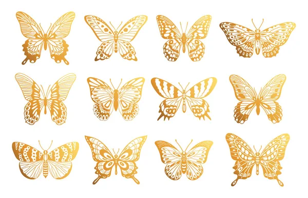 Καρτούν Χρυσές Πεταλούδες Χρυσά Ιπτάμενα Έντομα Τροπικές Γυαλιστερές Πεταλούδες Σιλουέτες — Διανυσματικό Αρχείο