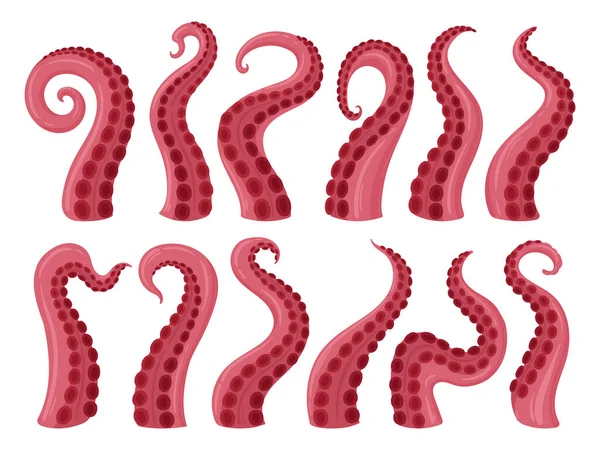 Octopus tentacles. Cartoon marine creature palpus, squid twisted limbs with suckers flat vector illustration set. Ocean cephalopod animal tentacles