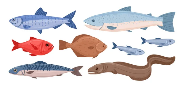 Peixe Dos Desenhos Animados Atum Marinho Truta Linguado Enguia Peixe — Vetor de Stock