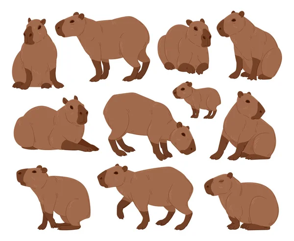 Cartoon Capybara Cute Capybaras Funny Semi Aquatic Wild Animals Herbivore — Stock Vector