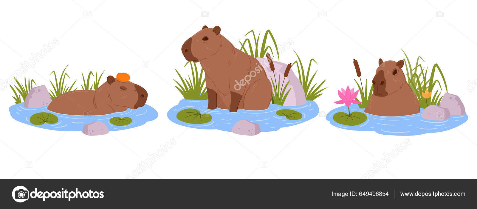 Ilustração em vetor capivara kawaii de desenho animado bonito vetor animal  isolado estilo de desenho animado plano isolado