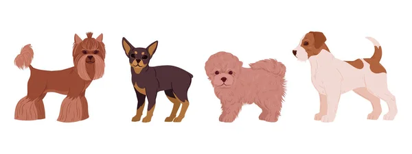 Zeichentrickhunde Niedliche Kleine Yorkshire Terrier Toy Terrier Bichon Frise Und — Stockvektor