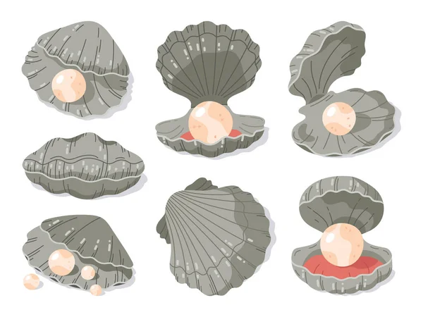 Розтопити Черепашку Перлами Відкрийте Мушлі Дорогоцінною Перлиною Молюсками Морської Мушлі — стоковий вектор