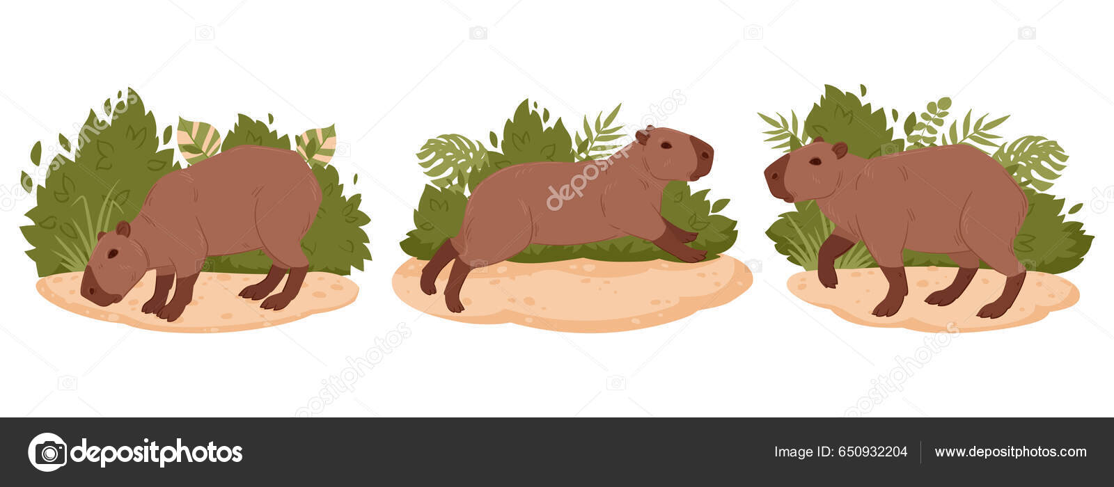 Bonita capivara de desenho animado com ilustração vetorial de