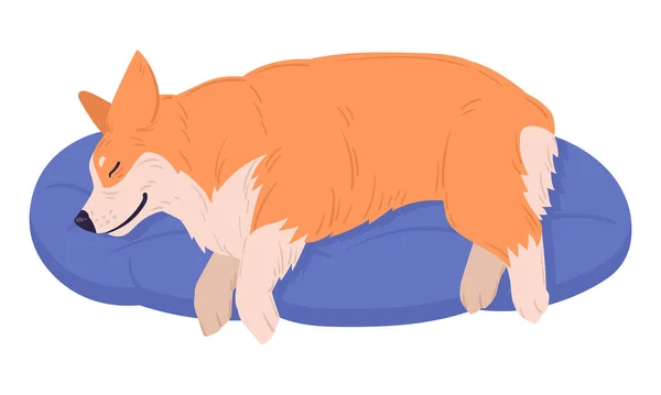 睡觉的Corgi狗 卡通画可爱的休息和睡觉的科吉宠物 快乐的家养宠物狗扁平画图 — 图库矢量图片
