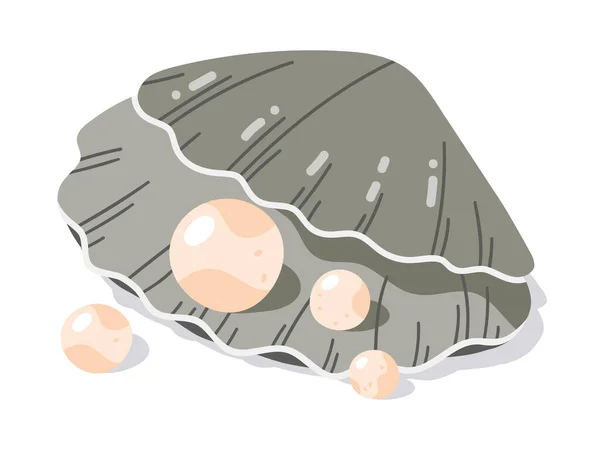用珍珠做的贝壳 头皮壳 海贝类 开阔的蛤蟆壳 海洋动物平面矢量图解 — 图库矢量图片