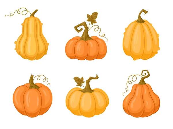 Cartoon Halloween Pumpkins Fall Harvest Squash Gourds Autumn Thanksgiving Halloween — Stock Vector