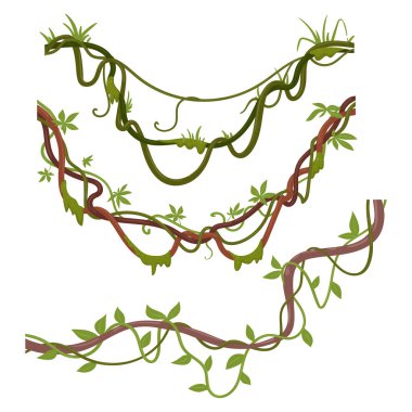 Tropical climbing creepers. Cartoon jungle liana plants, exotic creeper with moss. Jungle rainforest liana vines vector illustration set clipart
