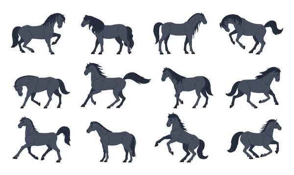 卡通黑马 家养优雅的动物 农场或农场马平面病媒图集 纯种马采集 — 图库矢量图片