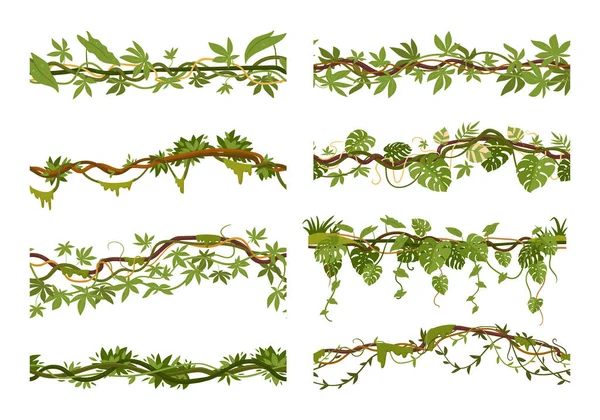 Tropiska Krypande Gränser Tecknad Djungel Klättring Liana Växter Exotisk Krypskytt — Stock vektor