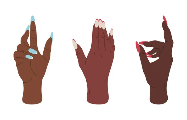 Gesty Kobiecych Rąk Kobieta Dłonie Eleganckimi Gestami Ręce Długimi Manicure — Wektor stockowy