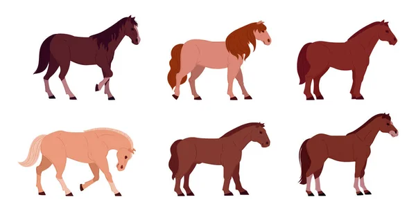 Cartoon horses. Domestic graceful animals, horses of different breeds. Farm or ranch animals flat vector illustration set