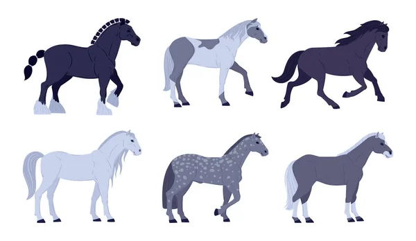 Cartoon grey horses. Graceful animals, domestic thoroughbred farm or ranch horses flat vector illustration set