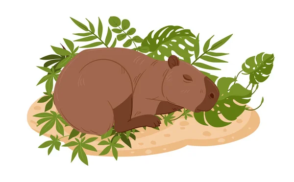 Capivara de desenho animado capivaras fofas animais selvagens semiaquáticos  engraçados herbívoro mamífero hidrochoerus conjunto de ilustração vetorial  plana coleção de roedores capivara