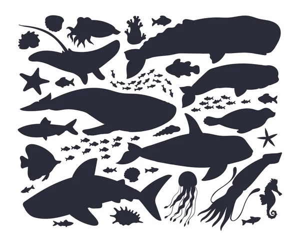 Sílhuetas Animais Marinhos Vida Subaquática Fauna Baleia Orca Golfinho Criaturas — Vetor de Stock