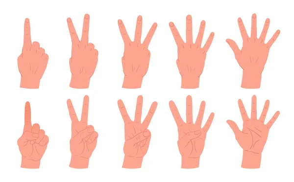 Desenhos Animados Contando Gestos Mãos Palmas Humanas Com Contagem Cinco — Vetor de Stock