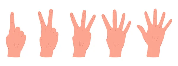 Contando Gestos Mãos Mãos Desenhos Animados Com Contagem Cinco Gestos — Vetor de Stock