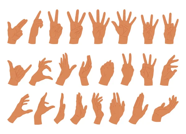 Gestos Mãos Humanas Cartoon Mão Posições Chamada Dedo Indicador Sinal — Vetor de Stock