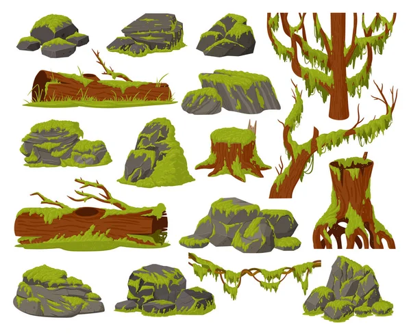 苔藓植物 卡通沼泽苔藓生长在岩石和木材树干 雨林中苔藓和真菌植物平面病媒插图集 自然生长苔藓 — 图库矢量图片