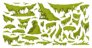 Cartoon jungle moss. Green moss plants, hanging and creeping lichen and moss flat vector illustration set. Rainy forest flora collection clipart