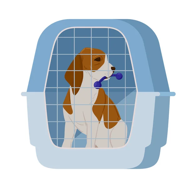 Cartoon Spaniel Dog Cage Dog Help Adoption Shelter Pet Shop — Stock Vector