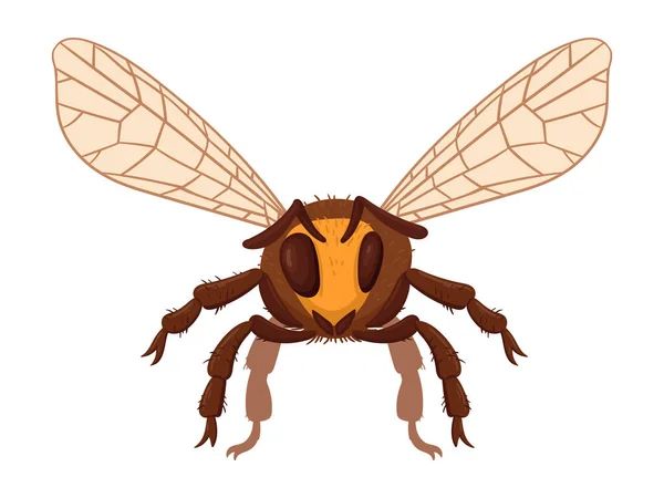 卡通蜜蜂 飞蜂昆虫 有翅膀的大黄蜂 白色背景上可爱的条纹昆虫平面矢量图解 — 图库矢量图片