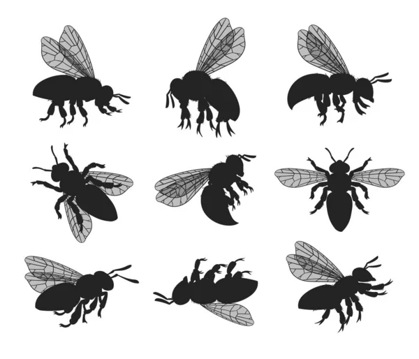 Juego Siluetas Abejas Dibujos Animados Abejas Melíferas Insectos Voladores Lindos — Vector de stock