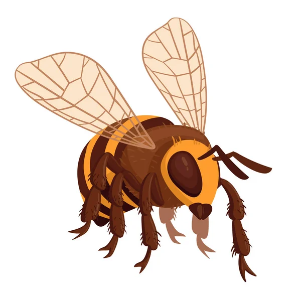 亲爱的蜜蜂卡通飞蜂昆虫 可爱的条纹大黄蜂 白色背景下昆虫翼平面矢量图解 — 图库矢量图片