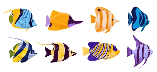 Peixe Exótico Desenhos Animados Peixes Tropicais Aquários Peixes Subaquáticos Selvagens — Vetor de Stock