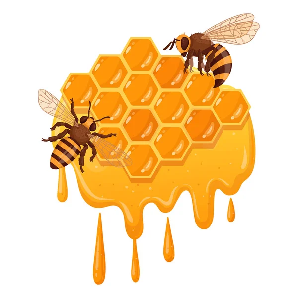 蜂窝与蜜蜂 卡通甜甜的蜂窝与融化的蜜蜂 蜂业和养蜂扁平的病媒插图 蜂蜜蜂窝 — 图库矢量图片