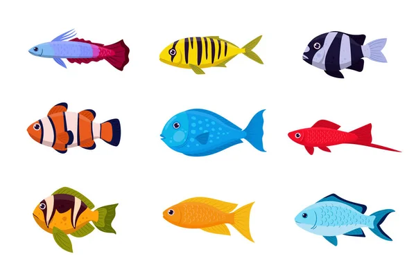 Desenhos Animados Conjunto Peixes Exóticos Peixes Tropicais Água Salgada Peixes — Vetor de Stock