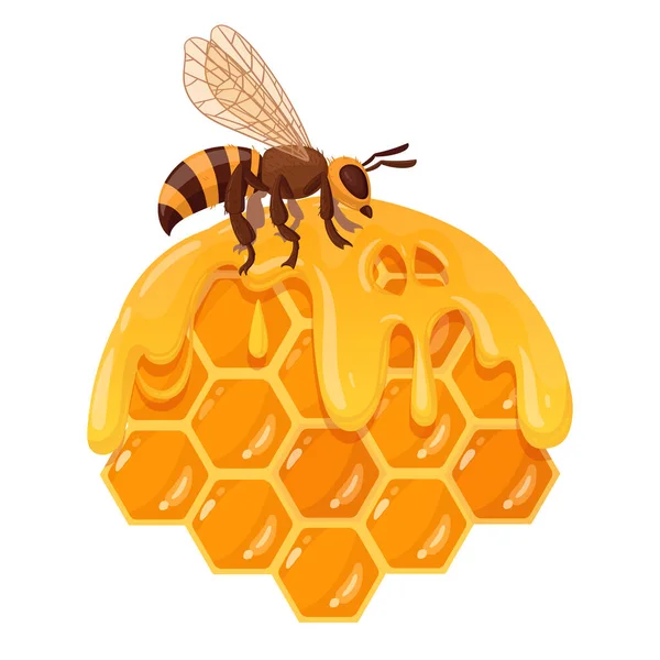 ミツバチと漫画ハニカム 蜂蜜を溶かす甘い蜂蜜 蜂蜜および養蜂が付いている蜂蜜Comb 蜂蜜フラットベクターイラストと蜂蜜蜂 — ストックベクタ