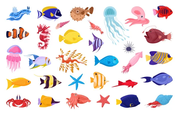 Animais Marinhos Exóticos Desenhos Animados Peixes Subaquáticos Tropicais Água Viva — Vetor de Stock
