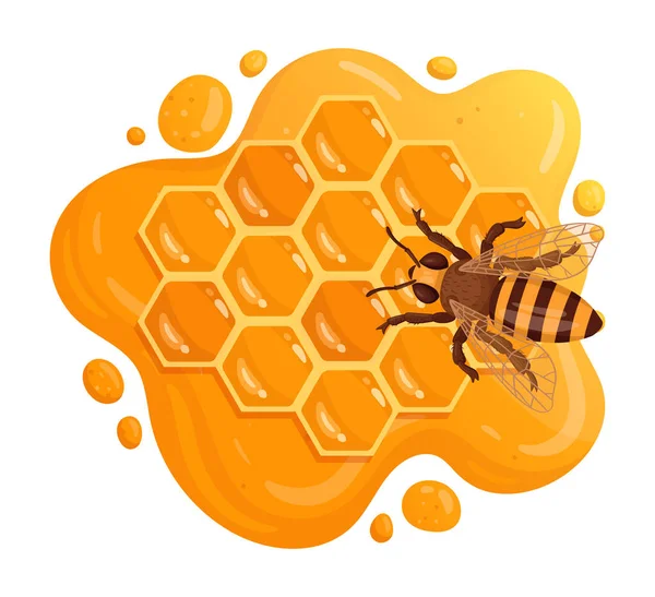 蜜蜂坐在蜂窝上 卡通蜂蜜蜂窝与甜融化蜂蜜 蜂蜜工艺和养蜂扁平病媒插图 — 图库矢量图片