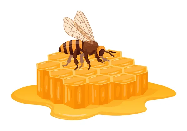 蜂窝与融化的蜂蜜 卡通蜜蜂与蜂窝 蜂业和养蜂平面病媒插图 有蜂蜜的可爱蜜蜂 — 图库矢量图片