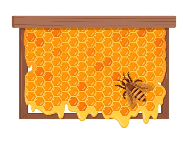 Včela Voštinami Karikaturní Plástve Sladkým Tavícím Medem Medovinou Včelařským Konceptem — Stockový vektor