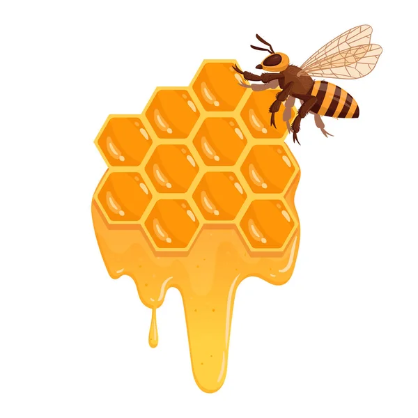 卡通蜂窝 蜂蜜蜜蜂坐在蜂窝上 上面有甜甜的融化蜂蜜 蜂蜜工艺和养蜂扁平的病媒图解 — 图库矢量图片