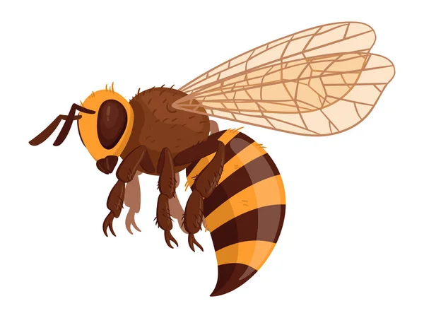 蜜蜂蜜虫卡通飞蜂 可爱的翅膀大黄蜂 白背景上的带状蜜蜂平面矢量图解 — 图库矢量图片