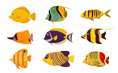Cartoon tropical fish. Aquarium or wild underwater fish. Oceanic colorful marine fauna flat vector illustration set. Saltwater fish collection clipart