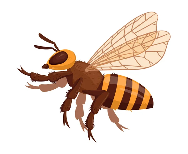 亲爱的蜜蜂卡通翅膀大黄蜂 飞蜂昆虫 白背景上的带状蜜蜂平面矢量图解 — 图库矢量图片