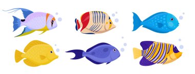 Vahşi sualtı balığı. Çizgi filmlerdeki egzotik balıklar tropikal balıklar, tuzlu su, deniz hayvanlarının düz vektör çizimleri. Balık koleksiyonu